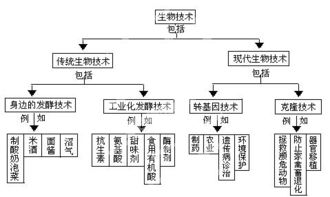 生物技術(shù)概念圖解讀 從酸奶與泡菜看知識(shí)產(chǎn)權(quán)在生物領(lǐng)域的應(yīng)用
